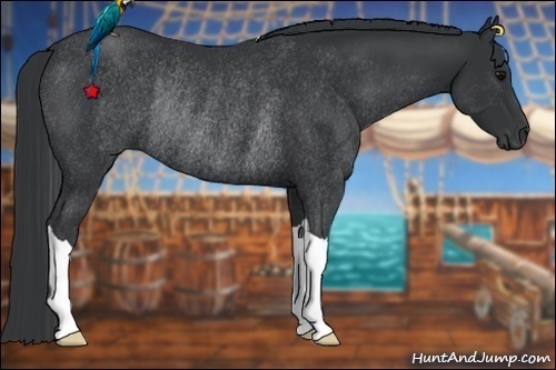 Horse Color:Black Rabicano 