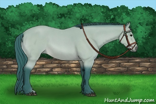 Horse Color:Watercolor Bay Roan 