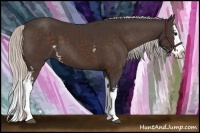 Horse Color:White Spotted Silver Bay Splash 