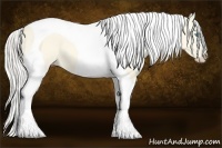 Horse Color:Cremello Dun Tobiano