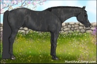 Horse Color:Black Splash Frame  Brindle