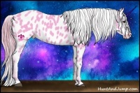 Horse Color:Watercolor Blue Roan Near Leopard 