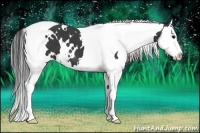 Horse Color:White Spotted Black Splash Tobiano