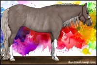 Horse Color:Silver Blue Roan Rabicano 