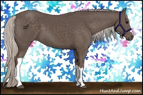Horse Color:Silver Black 