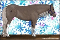 Horse Color:Silver Black 