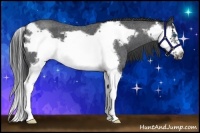 Horse Color:Blue Roan Splash Frame 