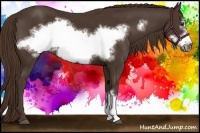 Horse Color:Liver Chestnut Frame