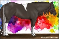 Horse Color:Liver Chestnut Tobiano 