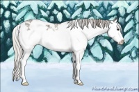 Horse Color:Silver Black Ice Sabino Splash 