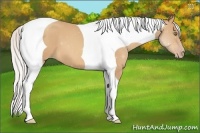Horse Color:Silver Amber Champagne Tobiano 