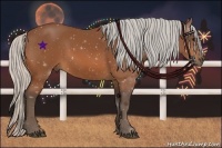 Horse Color:Silver Bay 