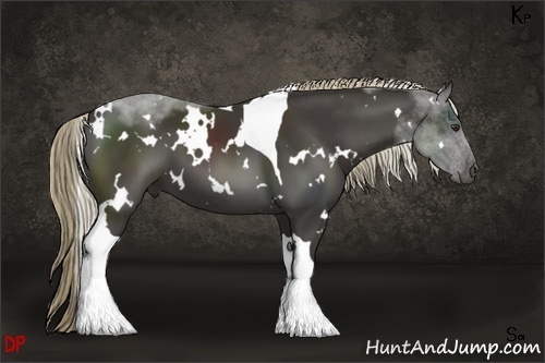 Horse Color:White Spotted Liver Chestnut Tobiano 