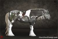 Horse Color:White Spotted Liver Chestnut Tobiano 
