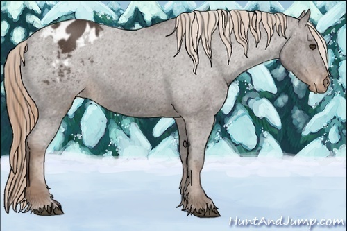 Horse Color:Liver Red Roan Varnish 