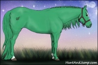 Horse Color:Watercolor Black Sabino 