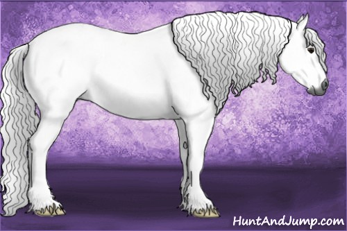 Horse Color:Gray Bay