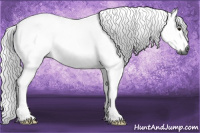 Horse Color:Gray Bay 