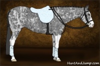 Horse Color:Smoky Black Ice Sabino 