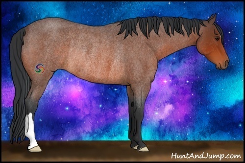 Horse Color:Bay Roan Rabicano 