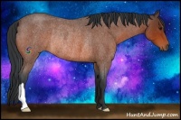 Horse Color:Bay Roan Rabicano 
