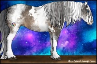 Horse Color:White Spotted Buckskin Splash Rabicano