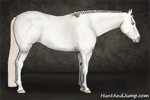 Horse Color:White Spotted Perlino Dun Rabicano 