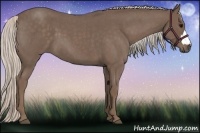 Horse Color:Silver Blue Roan
