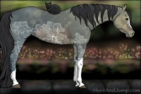 Horse Color:Brown Ice 