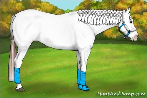 Horse Color:White Spotted Black Splash Frame Appaloosa