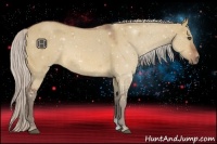 Horse Color:Silver Bay Dun Sabino