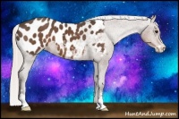 Horse Color:Silver Black Sabino Blanket