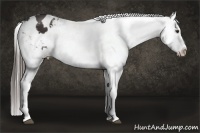 Horse Color:Liver Chestnut Snowflake Varnish
