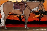 Horse Color:Silver Bay 