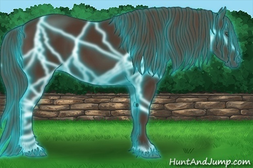 Horse Color:Thunderstruck Liver Chestnut Frame 