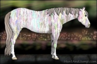 Horse Color:Silver Black Ice Rabicano