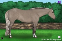 Horse Color:Silver Grullo Sabino 