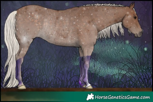 Horse Color:Silver Black Rabicano 