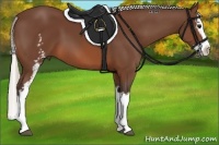 Horse Color:White Spotted Silver Brown Splash 