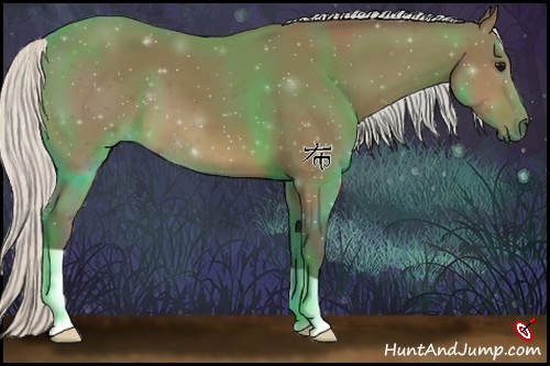 Horse Color:Silver Buckskin 