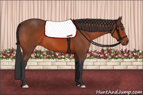Horse Color:Bay Frame