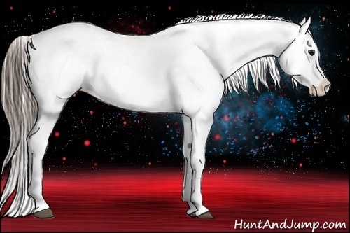 Horse Color:Blue Roan Splash Snowcap