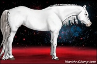 Horse Color:Blue Roan Splash Snowcap 