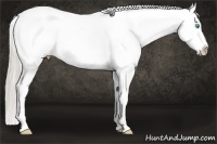 Horse Color:Chocolate Palomino Pearl Snowcap 