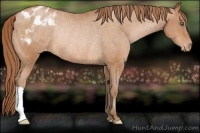 Horse Color:Bay Pearl Varnish Rabicano