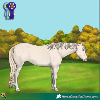 Horse Color:Perlino 