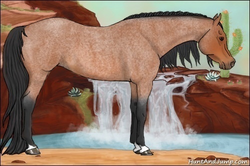 Horse Color:Bay Roan 