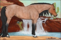 Horse Color:Bay Roan 