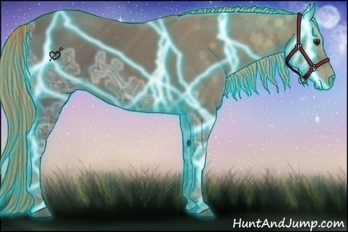 Horse Color:Thunderstruck Liver Chestnut Ice