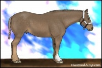 Horse Color:Chocolate Palomino Frame 